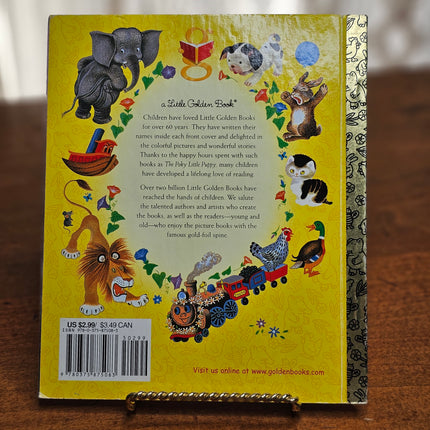 Little Golden Book | Barbie & The Diamond Castle