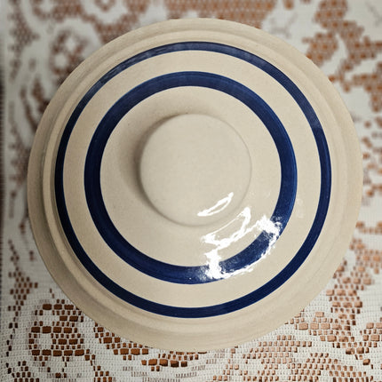 Vintage Robinson Ransbottom Blue Crown 2 Gallon Stoneware Crock With Spigot