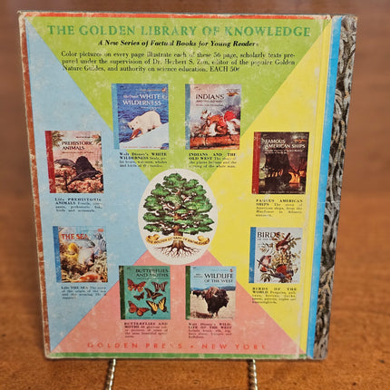 Little Golden Book | Party In Shariland