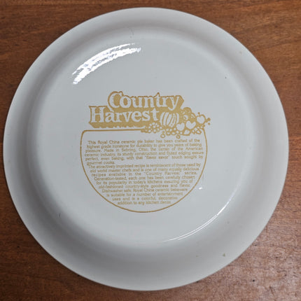 Vintage Royal China Pumpkin Pie Plate