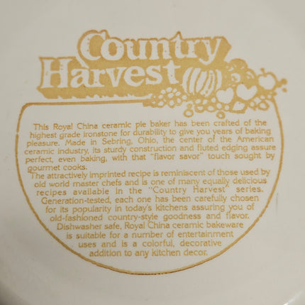 Vintage Royal China Pumpkin Pie Plate