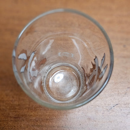 Vintage Wile E. Coyote Pepsi Collector's Glass