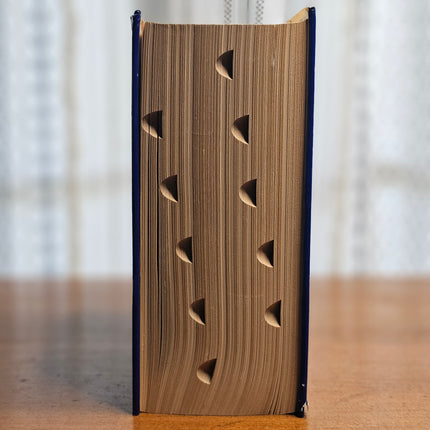 Webster's New Universal Unabridged Dictionary | Deluxe Second Edition