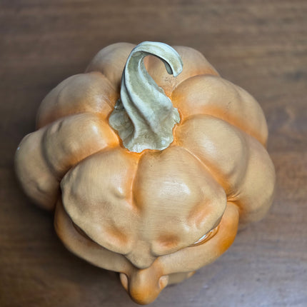 Martha Stewart Ugly Faced Pumpkin