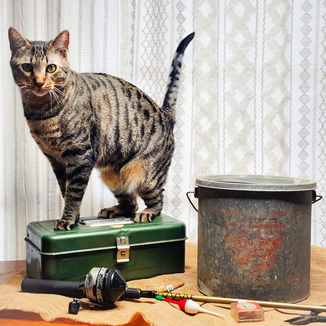 Fall City Vintage Minnow Bucket